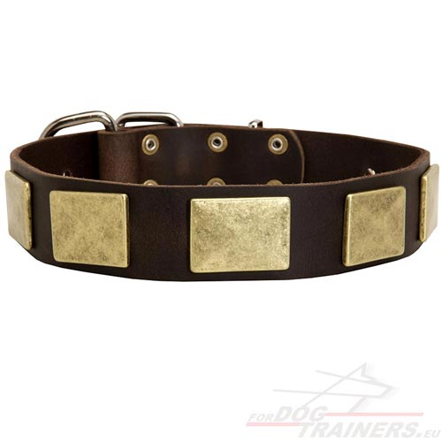 Leather Dog Collar Design with Plates - Click Image to Close