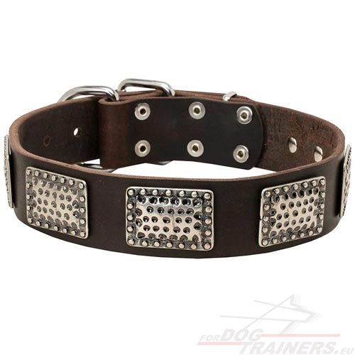 Exclusive Leather Dog Collar With Vintage Plates - Click Image to Close