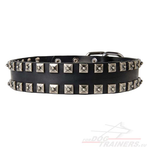 West Siberian Laika Genuine Leather Collar "Caterpillar" - Click Image to Close