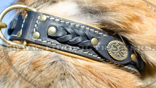 Exclusive Nappa Padded Leather Dog Collar ✥ - Click Image to Close