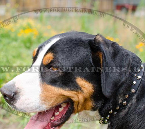 Strong Dog Collar with Pyramids ✤ - Click Image to Close