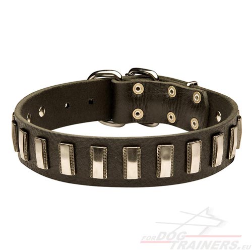 Dog Collar Genuine Leather and Metal Plates - Click Image to Close