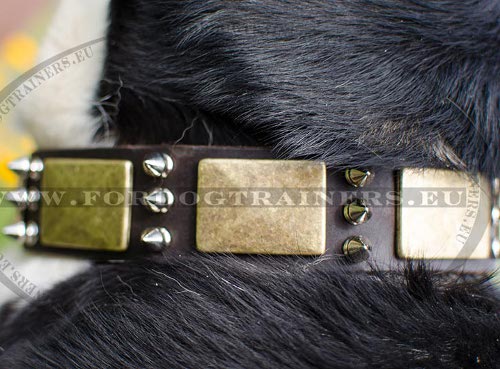 Antique Decoration Dog Collar - Click Image to Close