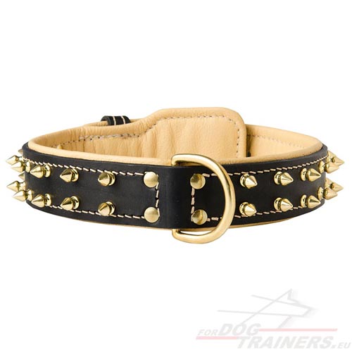 Designer Dog Collar Fine, Spiked Dog Collar Exclusive - Click Image to Close