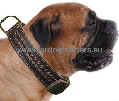 Handmade Braided Leather Dog Collar for Bullmastiff ⧓ - Click Image to Close