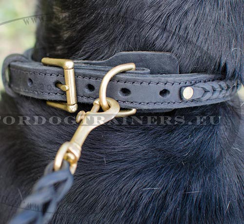 Dog Collar Leather Braided - Click Image to Close