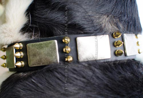 Leather Collar Design with Silver Plates and Bronze Spikes - Click Image to Close