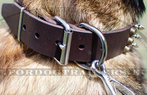 Belgian Malinois Leather Dog Collar With Pyramids and Spikes - Click Image to Close
