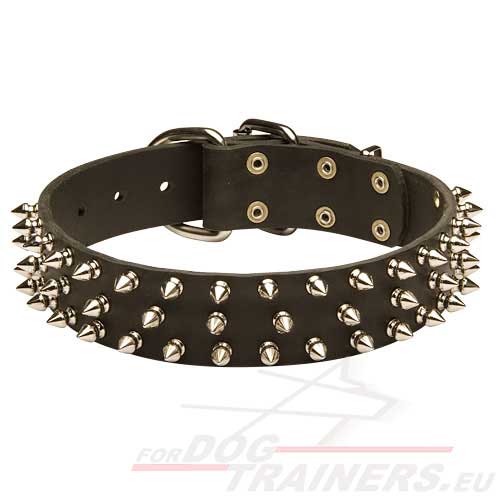 Fashionable Spiked Dog Collar - World of Style - Click Image to Close