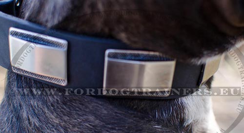 Luxury Collar with Decorative Plates for Pitbull ❖ - Click Image to Close