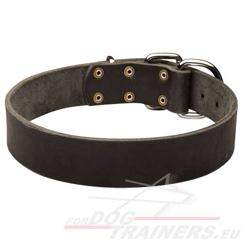 Strong Leather Dog Collar for Agitation Training ⧓ - Click Image to Close