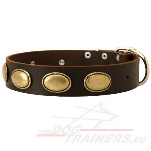 Leather Dog Collar with Vintage Plates - Click Image to Close