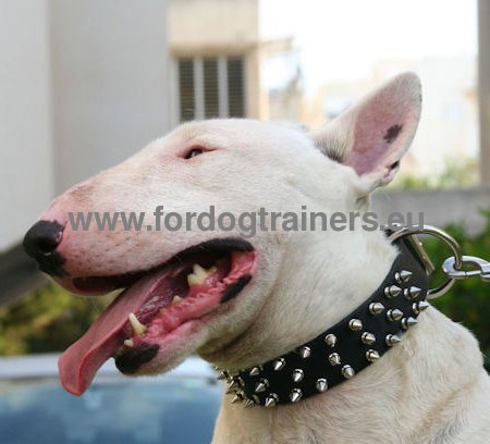 Bull Terrier Leather 3 Rows Spiked Dog Collar ✶ - Click Image to Close
