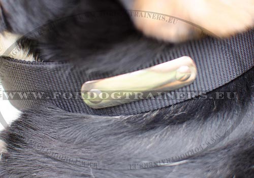 Collar Nylon with ID Tag ✔ - Click Image to Close