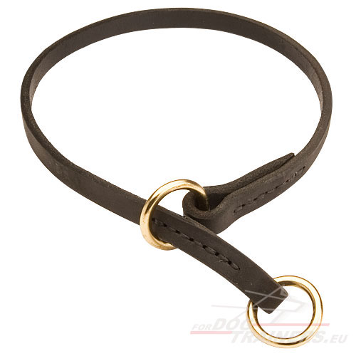 Leather Choke Collar for Dogs - Flat and Perfect! - Click Image to Close