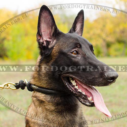 Dog Choke Leather, Training Dog Collar Round - Click Image to Close