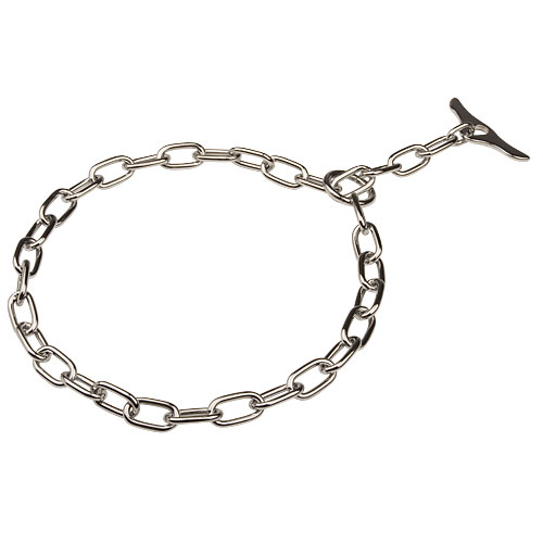 Chain Dog Collar for Disobedient Dogs - Click Image to Close