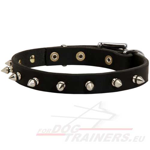 Leather Dog Collar with Silver Spikes - Click Image to Close