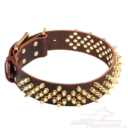 Collar Leather with Brass Spikes for Dog ↟ - Click Image to Close
