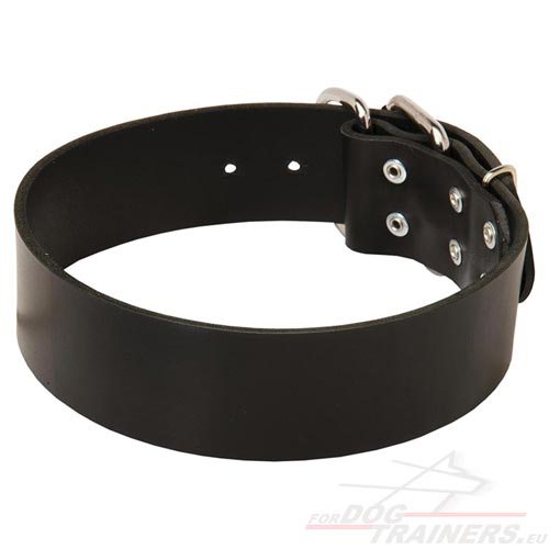 Simple Style Wide Dog Collar | Dog Collar 50 mm⟱ - Click Image to Close