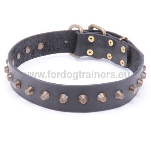 Leather Dog Collar with Pyramids!◘ - Click Image to Close