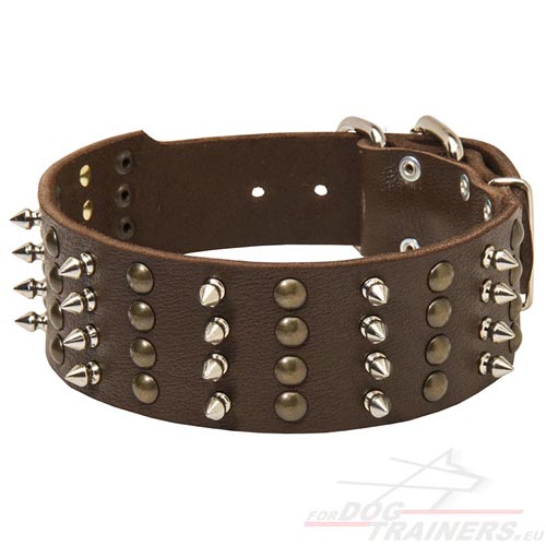 Leather Dog Collar Decorated with Spikes - Click Image to Close