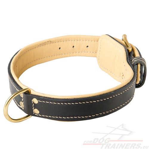 Leather Dog Collar, Classical with Nappa Padding! - Click Image to Close