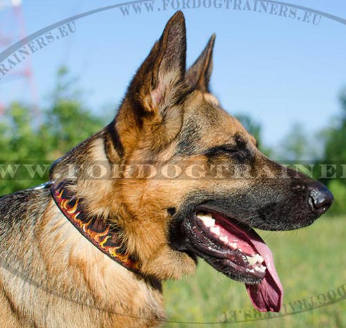 German Shepherd Leather Collar Design with Image "Flame" ✔ - Click Image to Close
