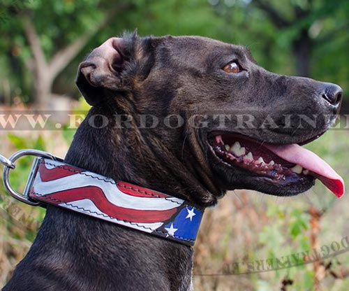 Designer Collar Leather American Flag ⚐ - Click Image to Close
