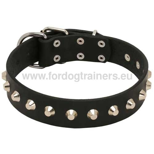 Leather Dog Collar with Pyramids! - Click Image to Close