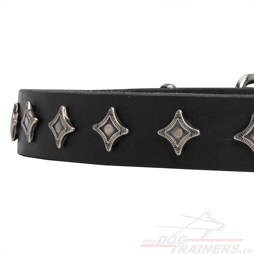 Poetry Leather Dog Collar with Small Stars ✧ - Click Image to Close