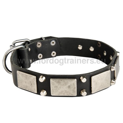 Decorated Dog Collar Wide, Leather Collar Exclusive - Click Image to Close
