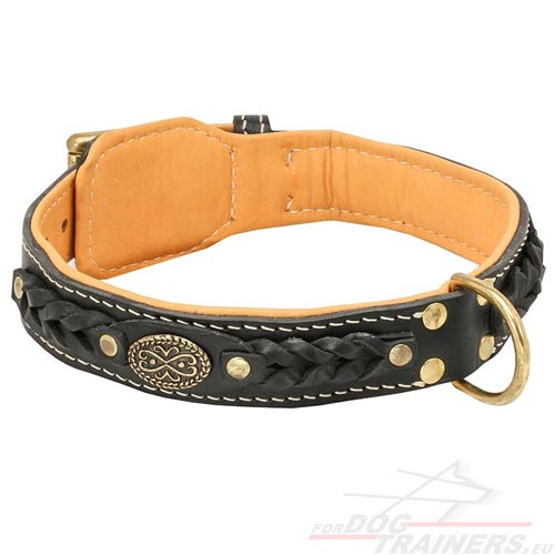 Exclusive Nappa Padded Handmade Leather Dog Collar - Click Image to Close