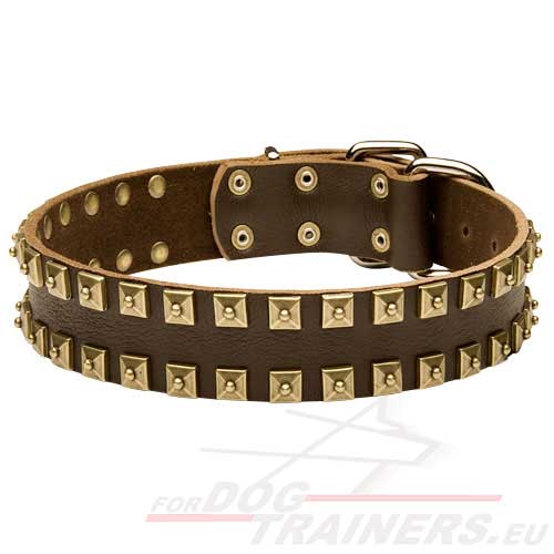 Super leather collar with square plates, studded - Click Image to Close