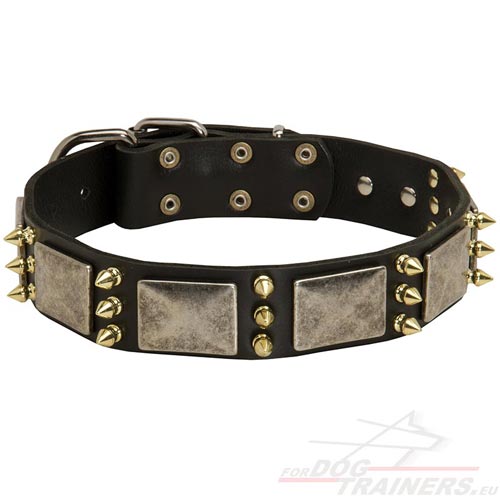 Leather Collar Design with Silver Plates and Bronze Spikes - Click Image to Close