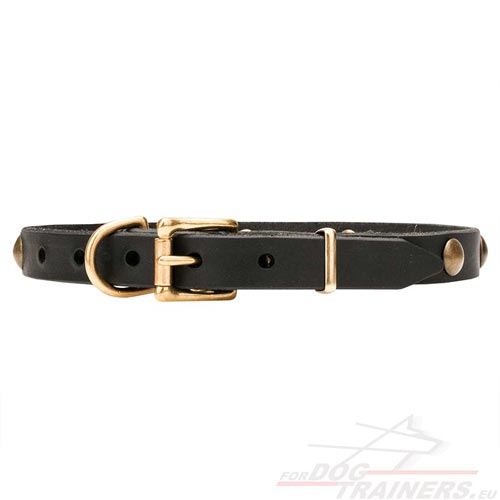 Designer Dog Collar with Brass Rivets, Buckle and Studs - Click Image to Close