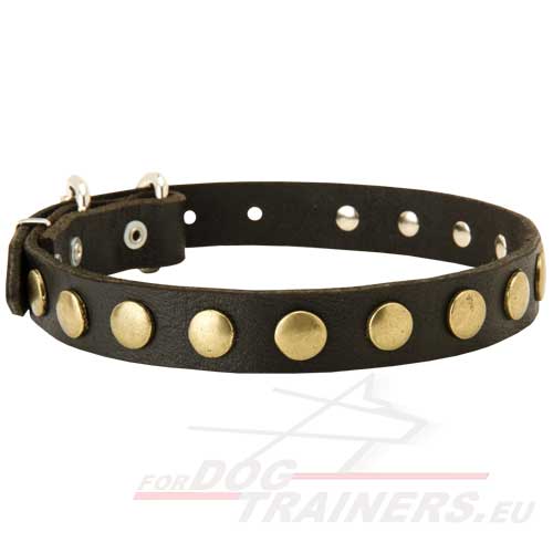 Leather Dog Collar with Wonderful Metal Dots! - Click Image to Close