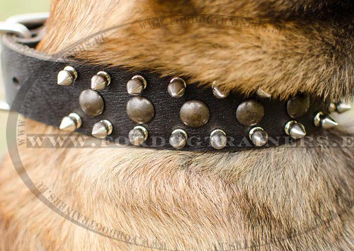 Leather Dog Collar with Spikes and Studs - Click Image to Close