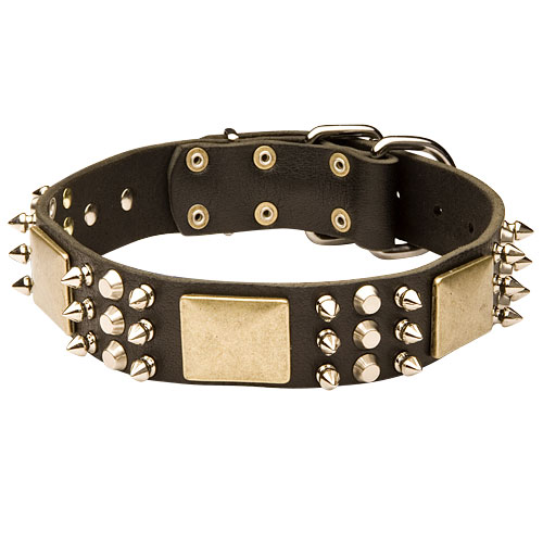 Dog Collar Leather Exclusive with Spikes, Pyramids and Plates - Click Image to Close