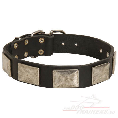 Leather Dog Collar With Nickel Plates, Elegant One! - Click Image to Close