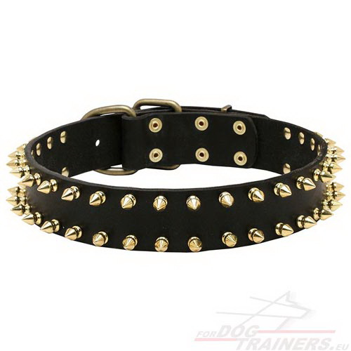 Leather Collar Wide | Spiked Dog Collar ✔ - Click Image to Close