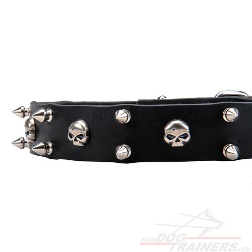 Fancy Leather Dog Collar with Skulls ✴ - Click Image to Close