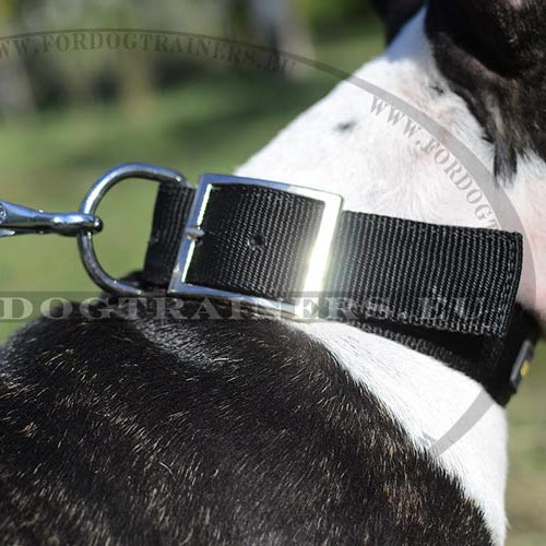 Dog Collar Nylon for Training, Sport and Walking - Click Image to Close