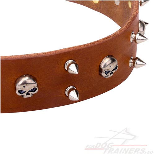 Leather Dog Collar with Skulls and Spikes - Click Image to Close