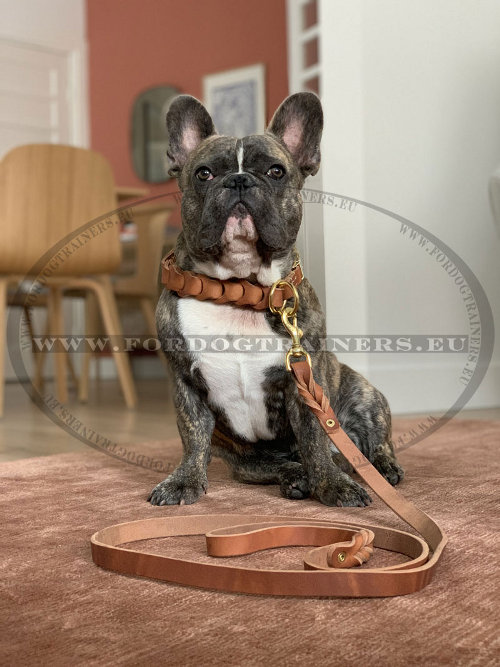 Braided Leather Dog Buckle Collar - Click Image to Close