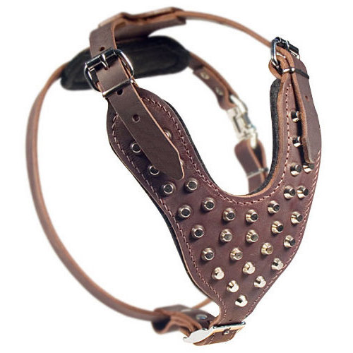 Studded Leather Dog Harness Brown for Walking - Click Image to Close