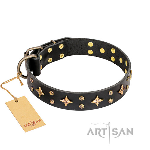 New Design "A La Mode" Leather Dog Collar FDT Artisan - Click Image to Close