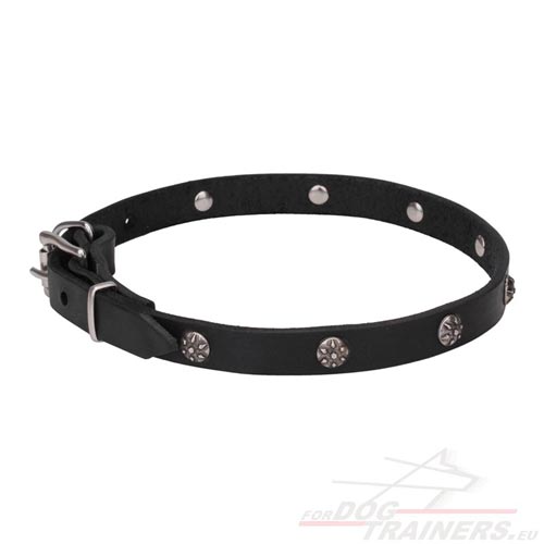 Handmade Leather Collar with Engraved Studs❂ - Click Image to Close