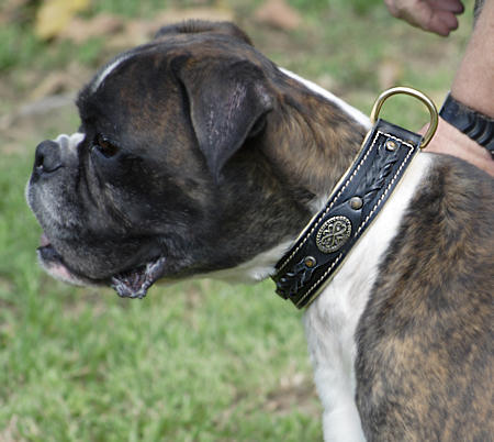 Handmade Collar with Braids for Boxer - Click Image to Close