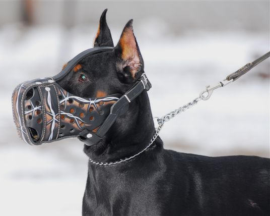 Doberman hand painted leather dog muzzle "Wire" - Click Image to Close